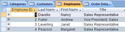 Tabbed view of displaying multiple objects in Microsoft Access