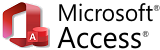 MS Access Consulting Services