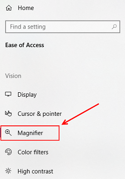 Magnifier Option