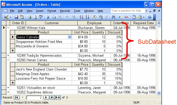 Microsoft Access subdatasheet name display