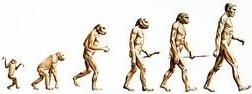 Database Evolution