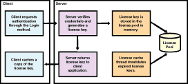 Transient license keys